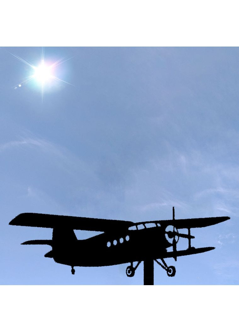 Флюгер на будинок Літак Кукурузник, АН-2, флюгер на дах з металу 2 мм. No Brand (368896282)