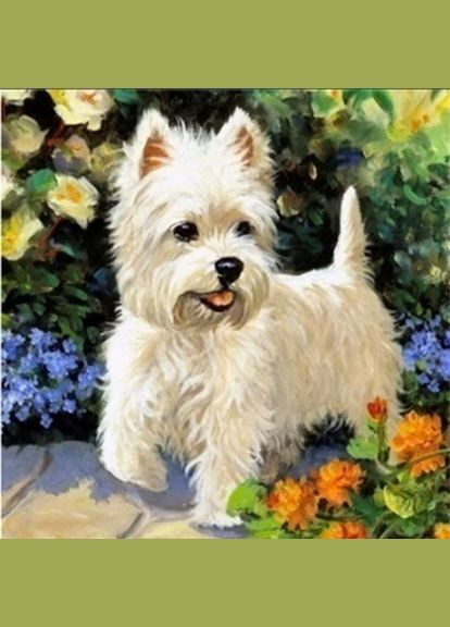 Алмазна мозаїка 30*30 см зі стразами на підрамнику повна викладка песик Лакі Josef Otten (317259681)