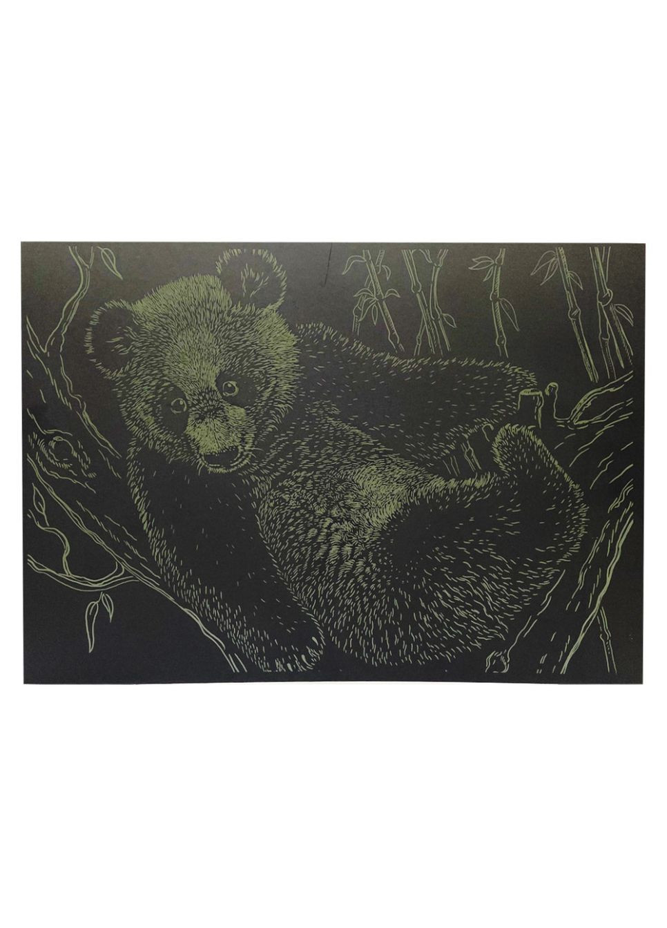 Гравюра А4 "Ведмідь" ГрА4-17з економ варіант в пакеті 29,7х21 см Danko Toys (366977668)