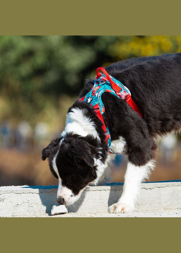 Шлея для собак Tropical, регулируемая светоотражающая нейлоновая шлея, Голубой XL (81-107см) Truelove (299915420)
