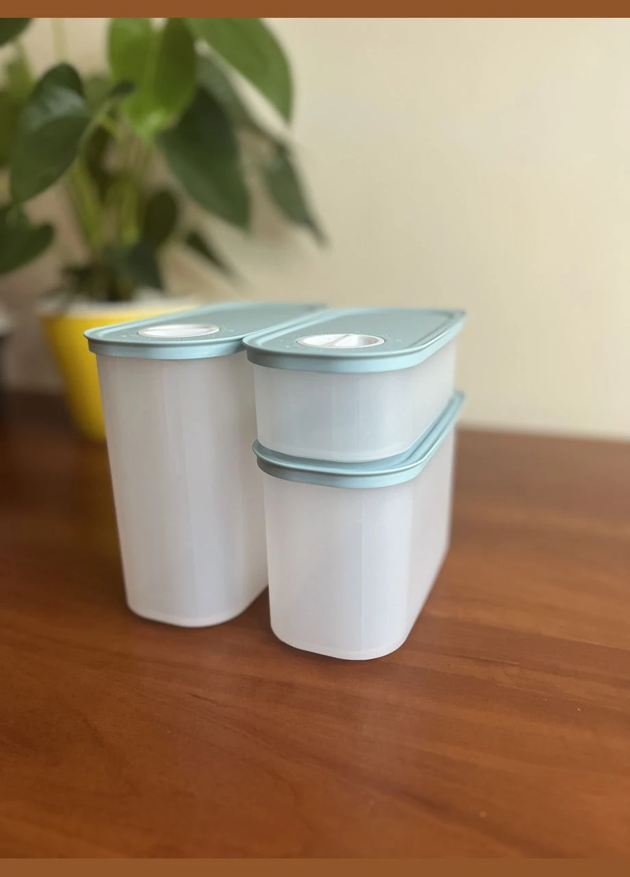 Компактус-таймер (320 мл) Tupperware (313865817)