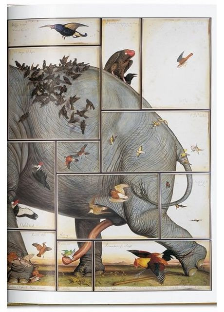 Книга Walton Ford. 40th Ed. (9783836595742) Taschen (364656353)