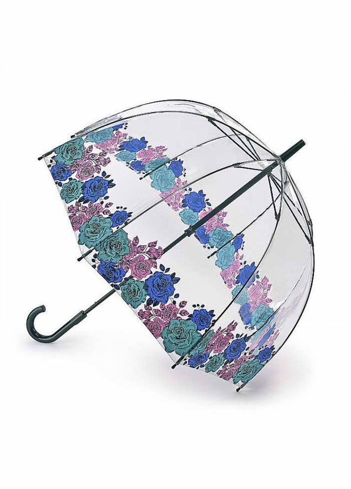 Прозрачный зонтик большой с розами женская birdcage2 l042 moody rose (капризная роза) Fulton (303401117)