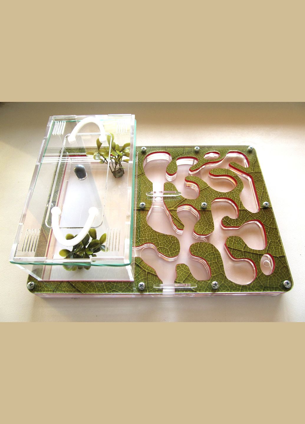 Муравьиная ферма (формикарий) горизонтальная (Лист) + муравьи-жнецы No Brand AntHouse (314798853)