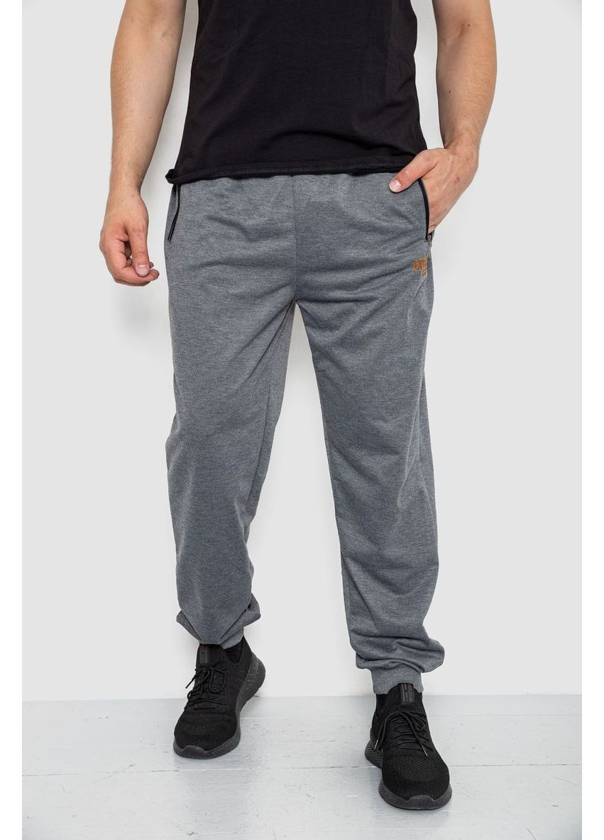 Серые демисезонные брюки Ager