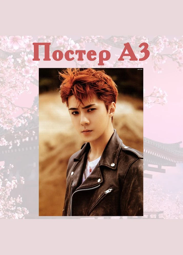 Постер плакат Сехун Sehun EXO 42х29 см А3 (poster_0176) No Brand (327004236)