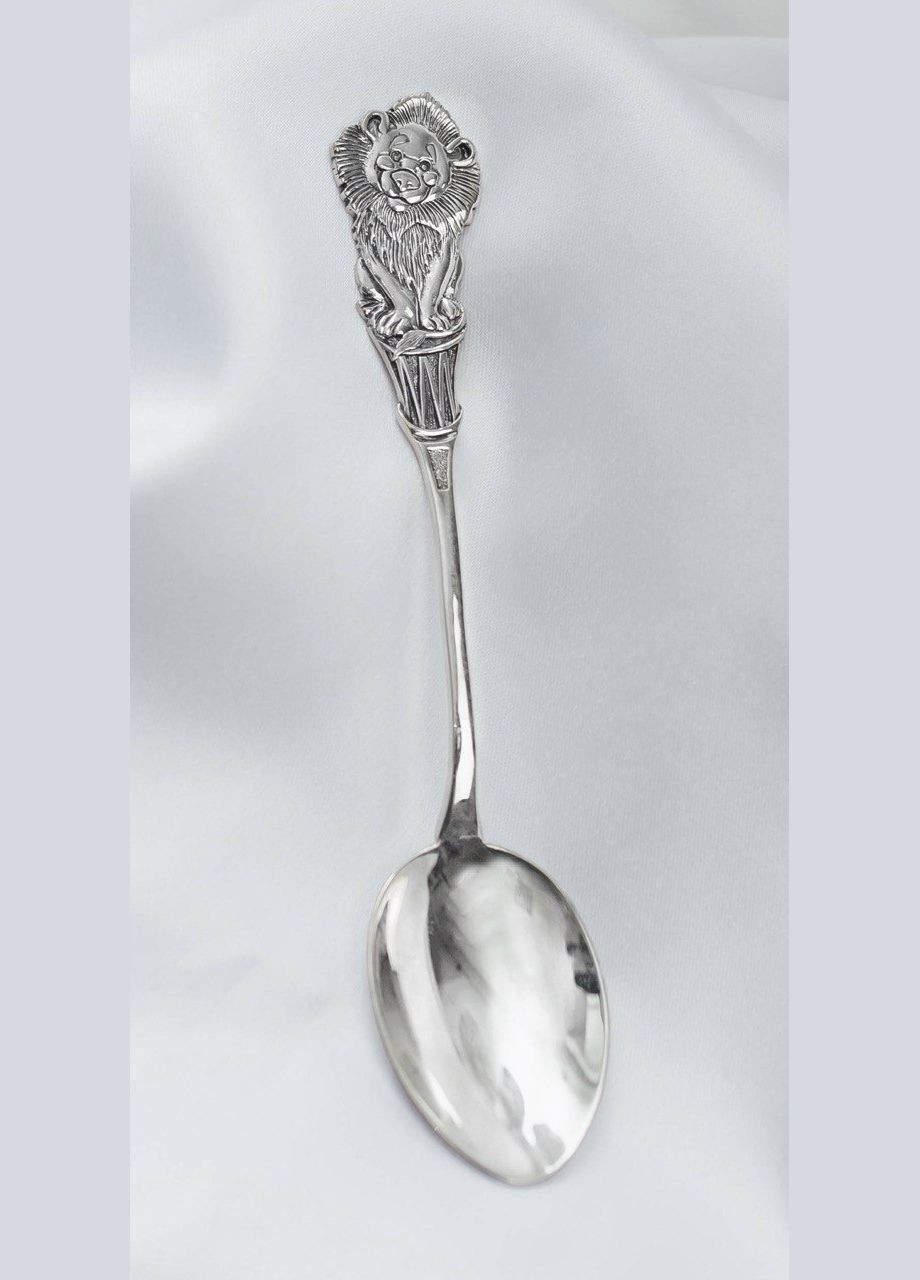 Сувенірна ложка No Brand (317577965)