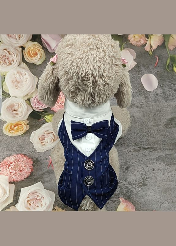 Костюм для котов и кошек Pet Style "Джентельмен" Синий M No Brand - (323231759)