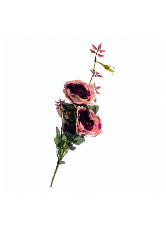 Квіти Seta Decor (270367021)