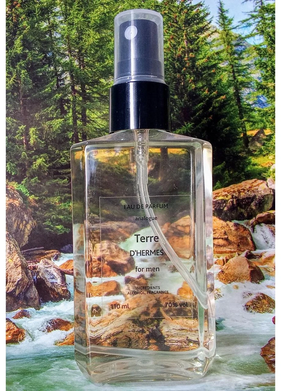 Чоловічі HERMES Terre d'Hermes парфумована вода No Brand (399513775)
