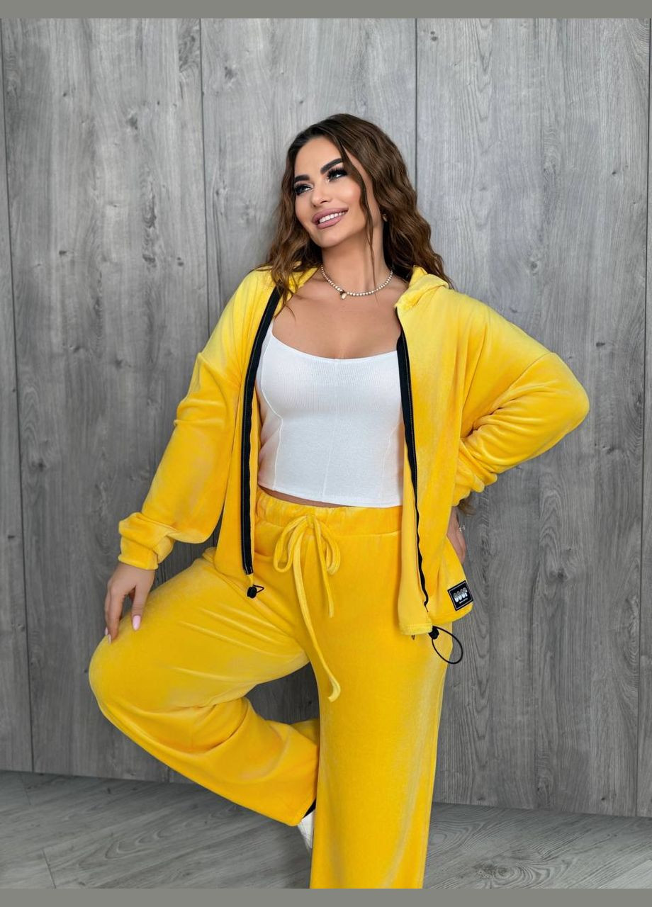 Велюровый женский костюм Osoblyva (322980424)