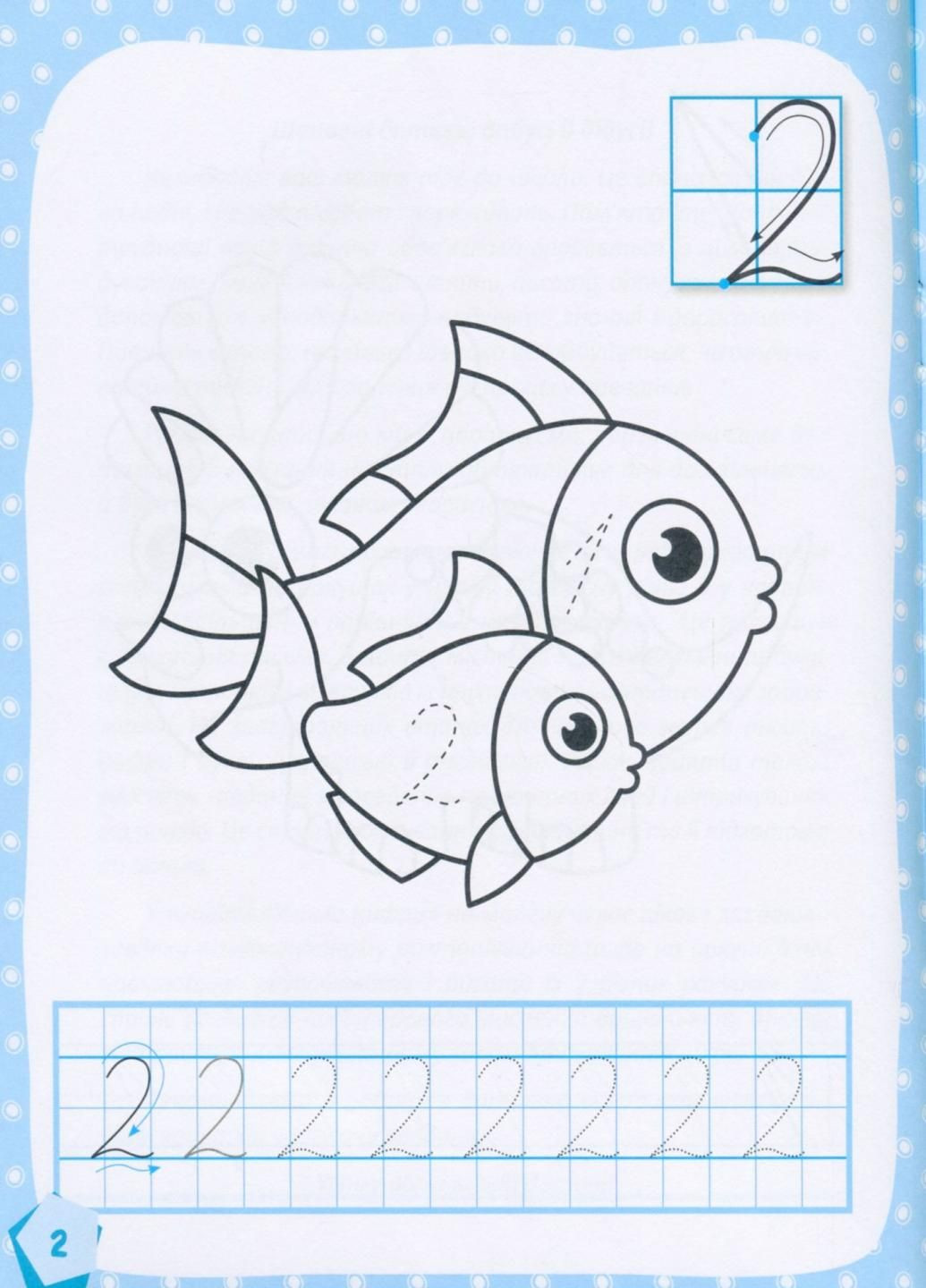 КЕНГУРУ Готуємось до школи 5+ Учимо цифри КН822006У 9786170968869 Кенгуру (298986372)