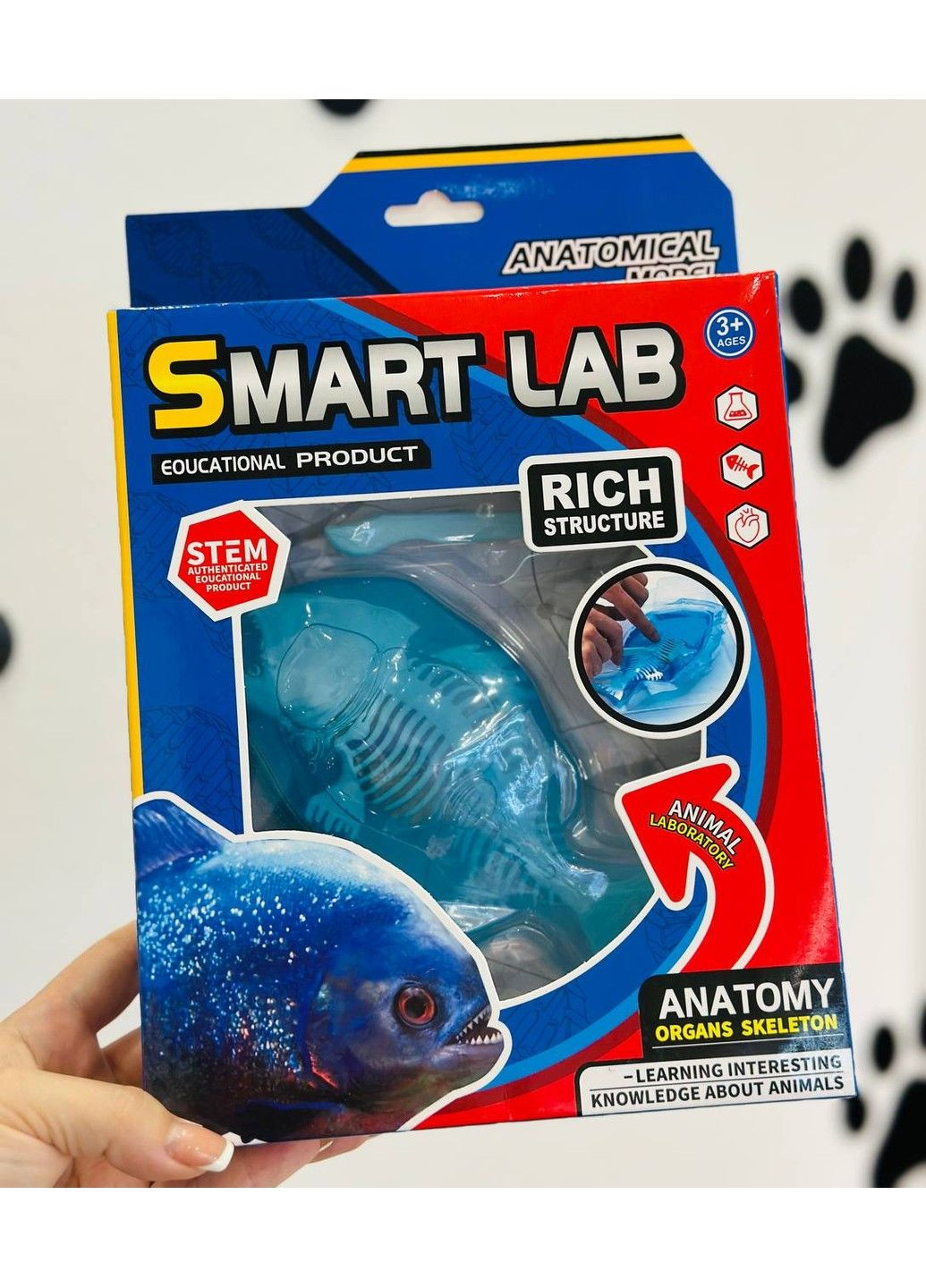 Іграшка лаборатонний набір, Акула, скелет, внутрішні органи No Brand (337706498)