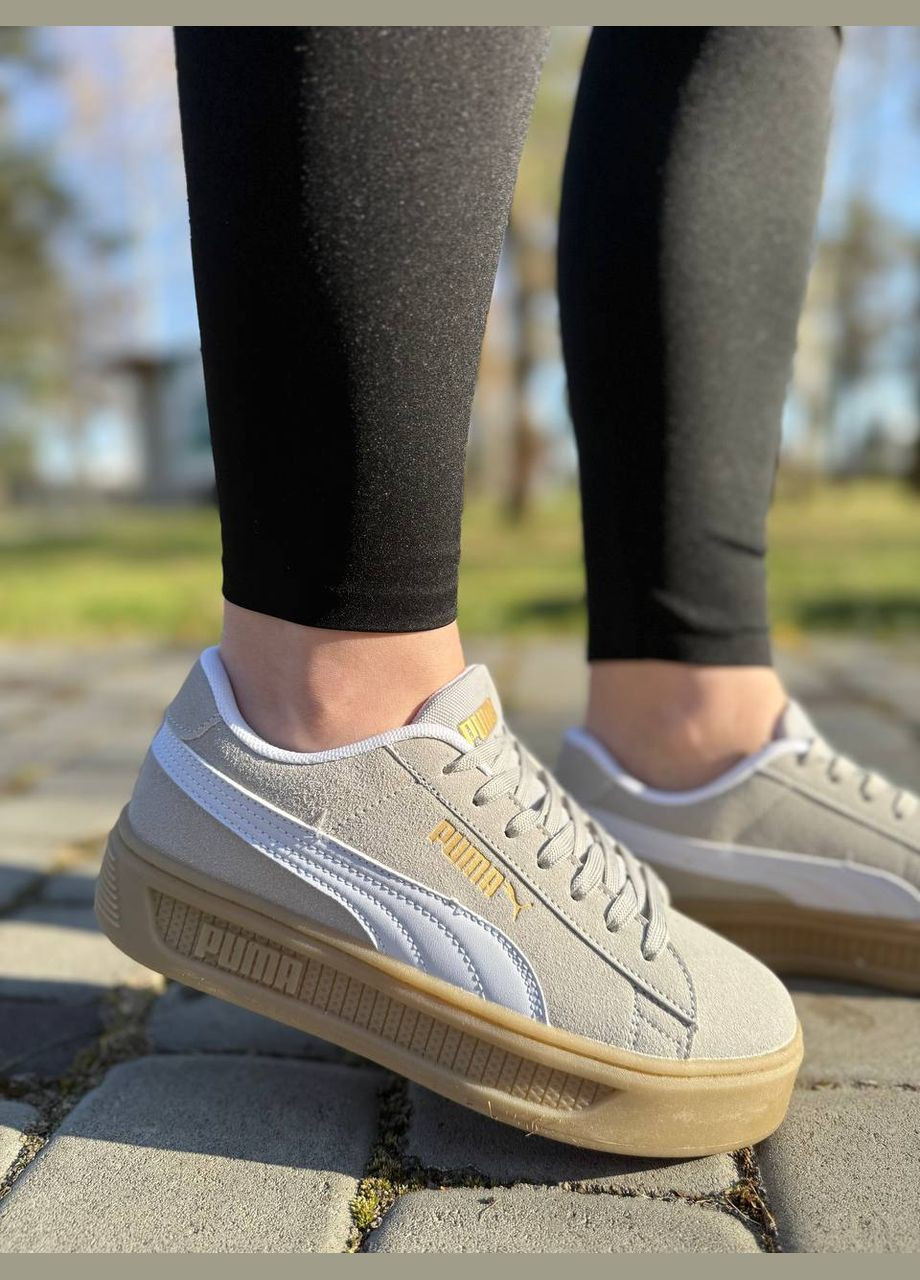 Сірі жіночі кеди сірі (2010) No Brand