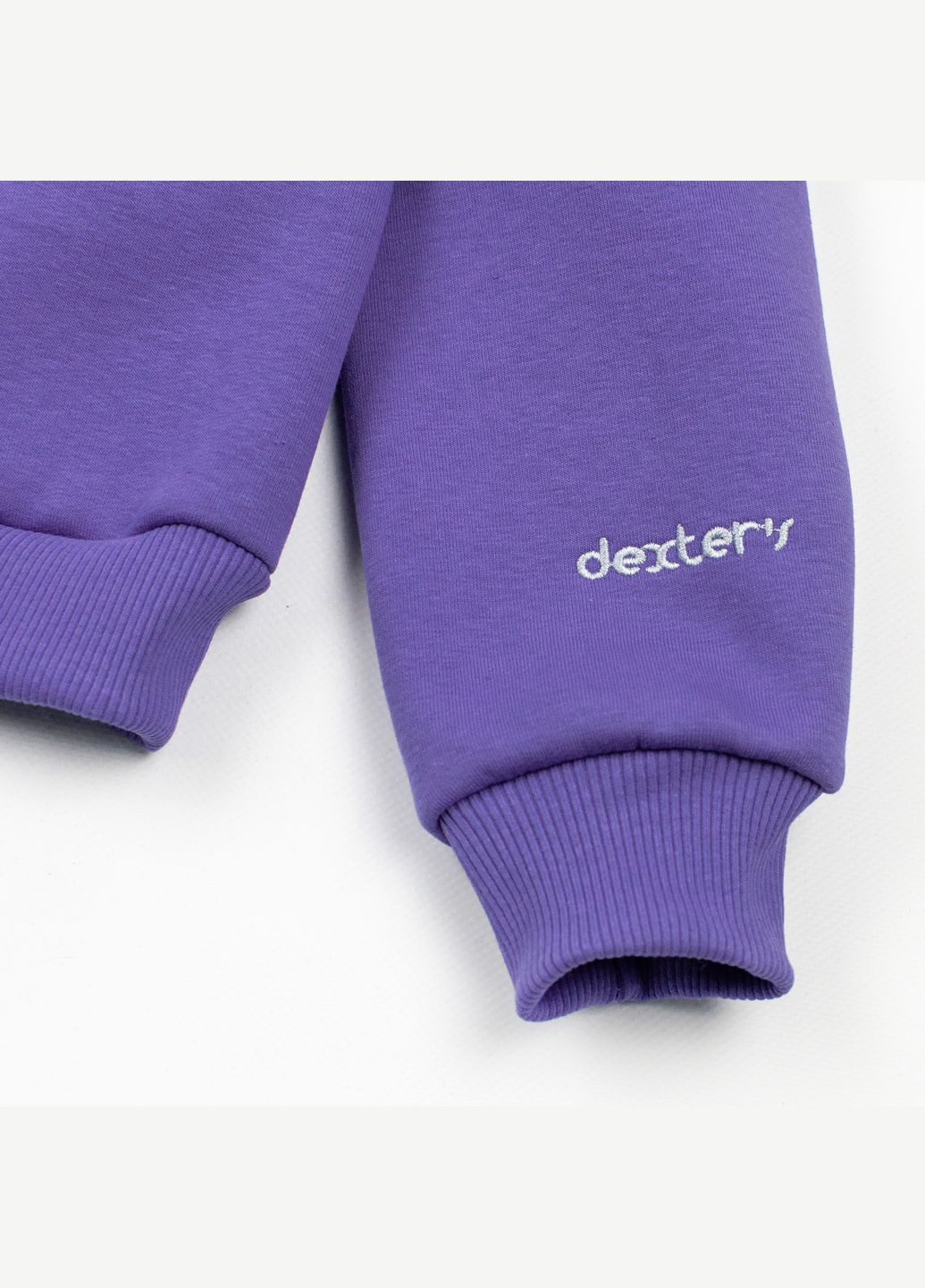dexter's свитшот с капюшоном dexter`s и вышивкой dexter`s фиолетовый