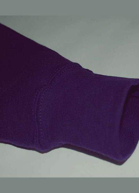 Толстовка женская Classic hooded sweat Фиолетовый (0620380PEM) Fruit of the Loom (311607783)