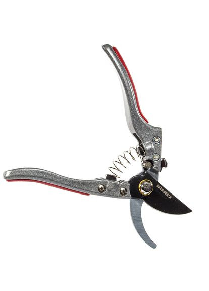 Секатор Master PS-210-01 Autolock (216881) Vitals (338435122)