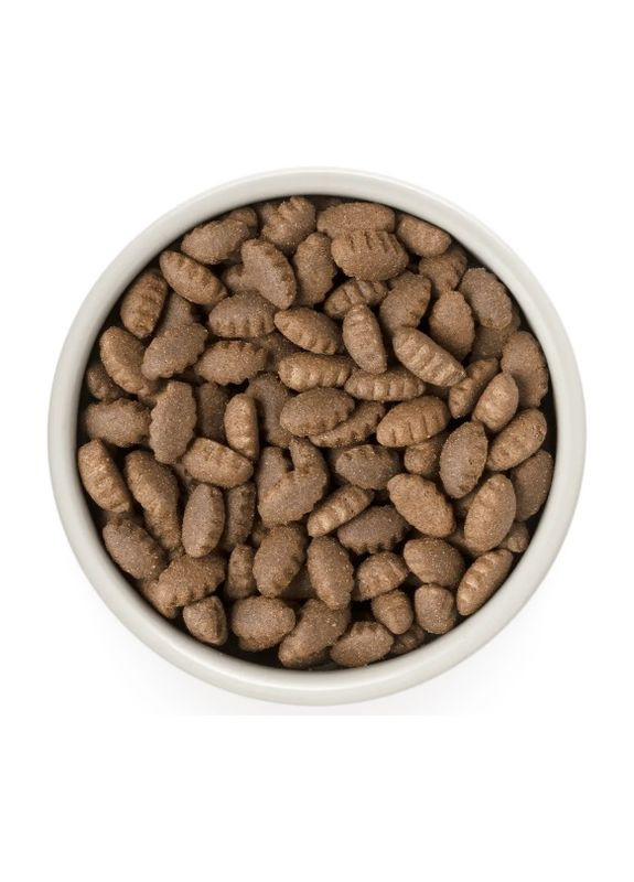 Сухий корм для дорослих собак великих порід з індичкою Turkey Brown Rice Adult Large Breeds 3 кг Grandorf (314710184)