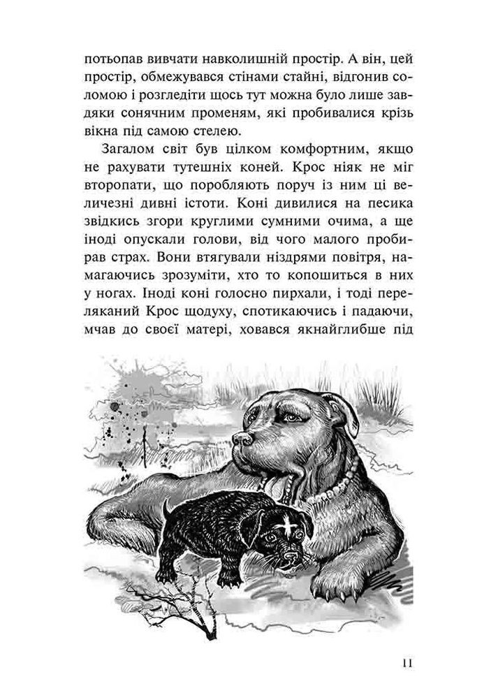 Приключения Мистера Кросса. Невероятное путешествие собаки-путешественника АССА (370058997)