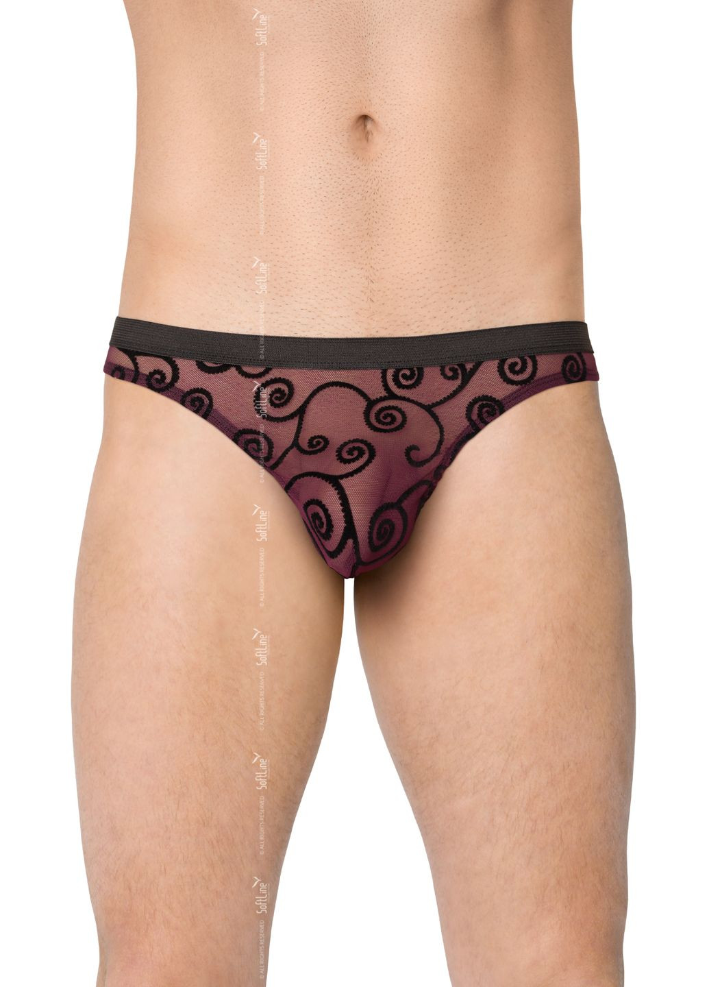 Чоловічі стрінги Mens Briefs 4522 Чорні CherryLove SoftLine (282967521)