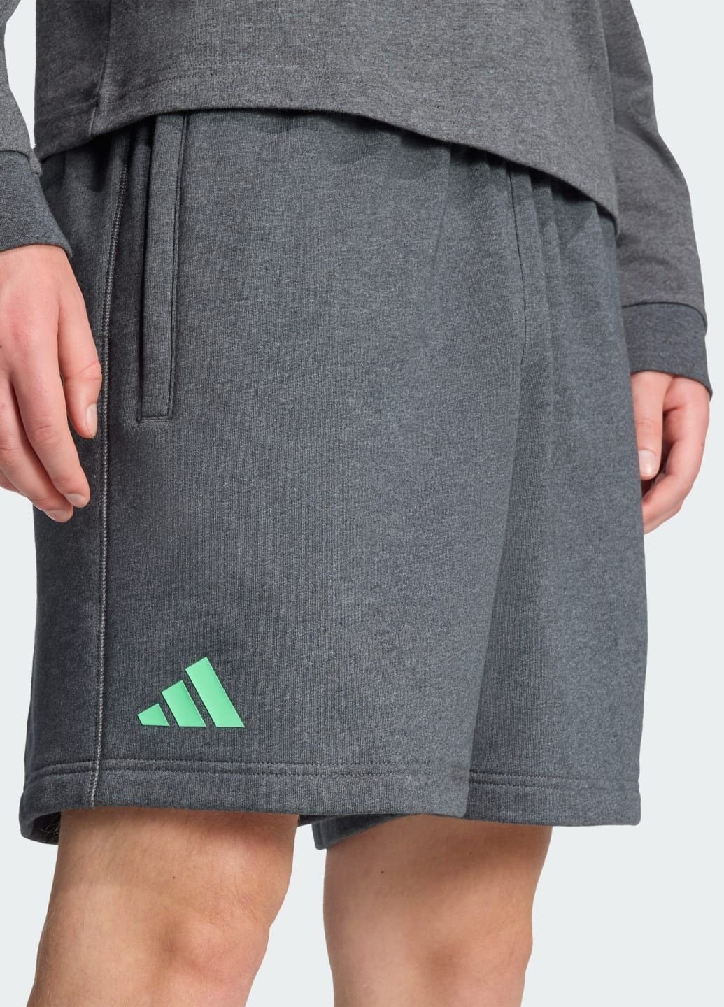 Шорты Mercedes - AMG Petronas Formula One Team Premium Sweat adidas (340292032)