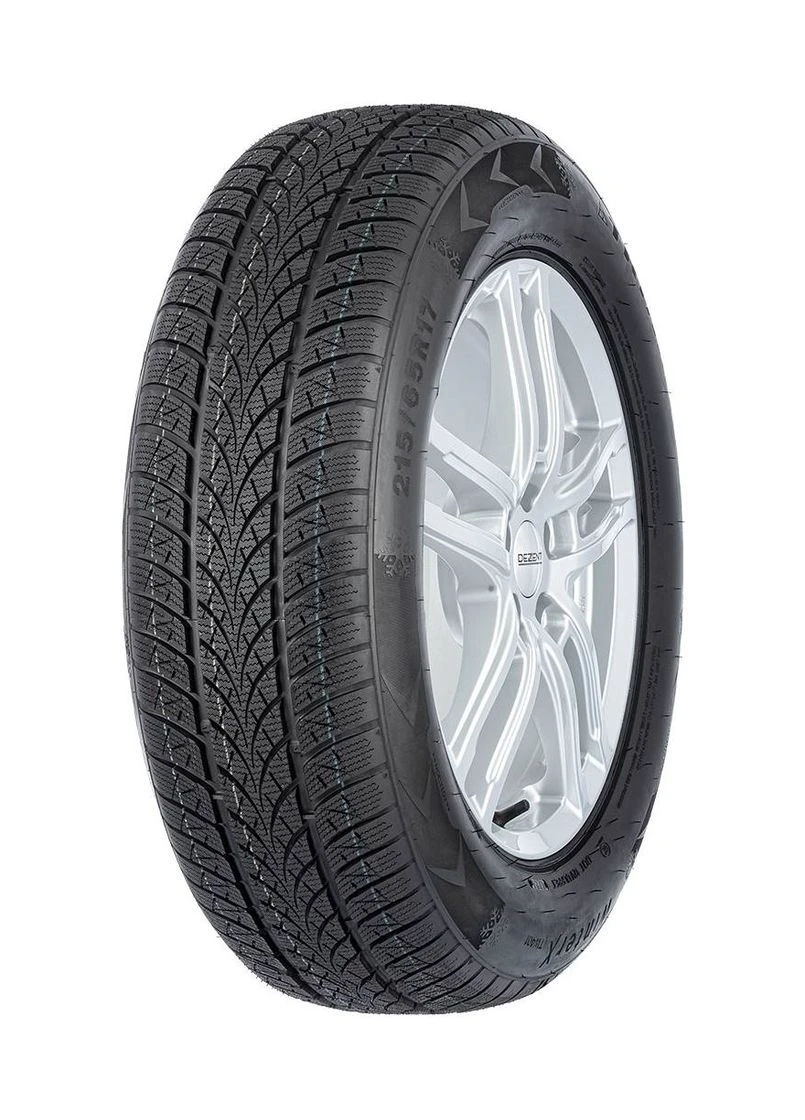 WinterX TW401 205/55R17 95V Triangle (384076657)