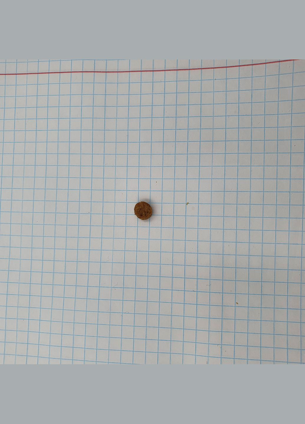 Сухой корм для собак малых пород Hill's Adult Small & Mini Chicken с курицей 6 кг 604233 HILLS (266274231)