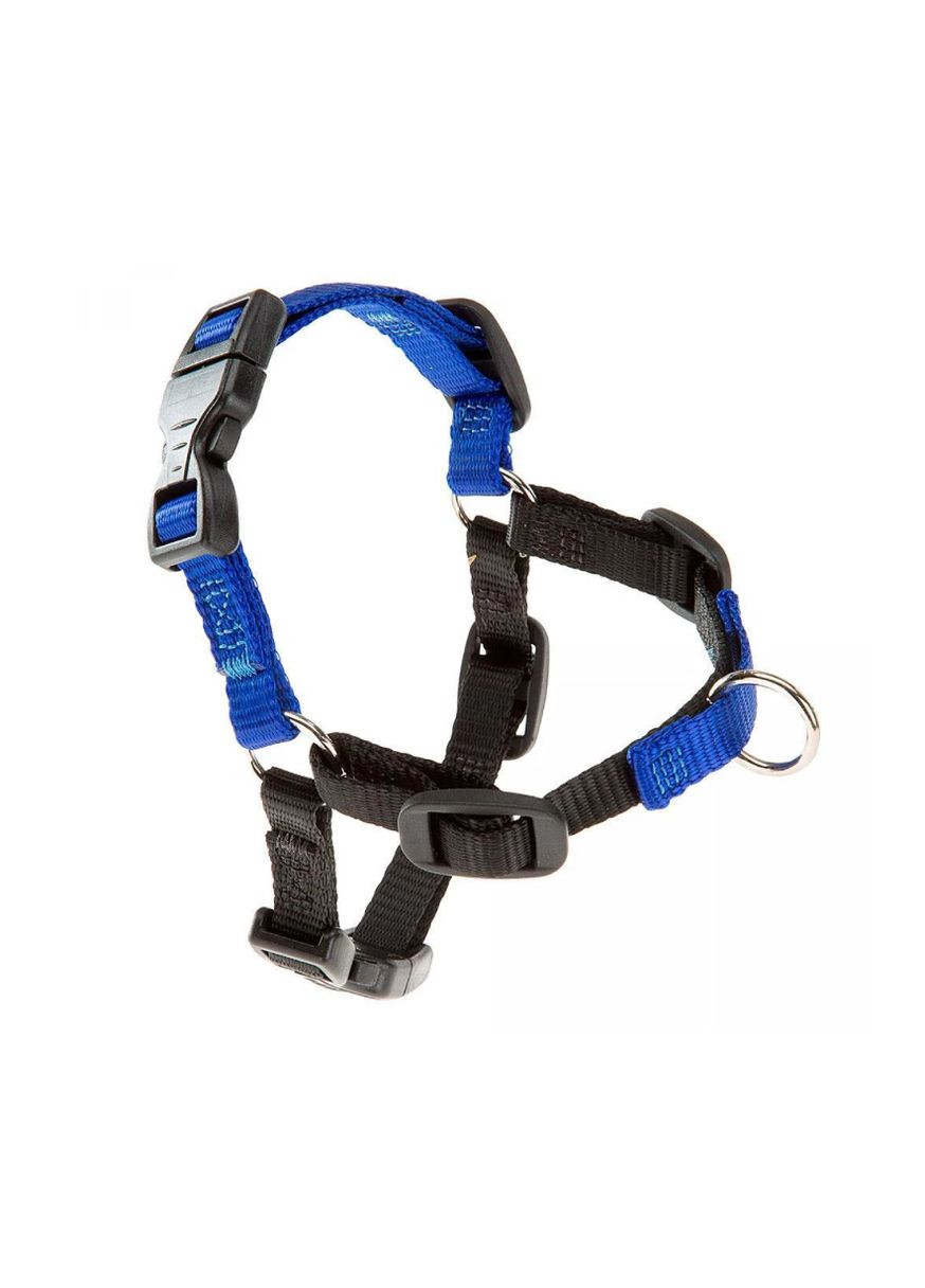 Шлея для собак Coach P M для дресирування синя А: 20-26 см В: 42-59 см 1 см 55791 Ferplast (269341701)