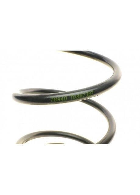 Пружина (передняя) Ford Focus 2.0 ST170 02-04 (универсал/нах. зад.часть)) 4027637 (opt-om) Lesjofors (366181050)