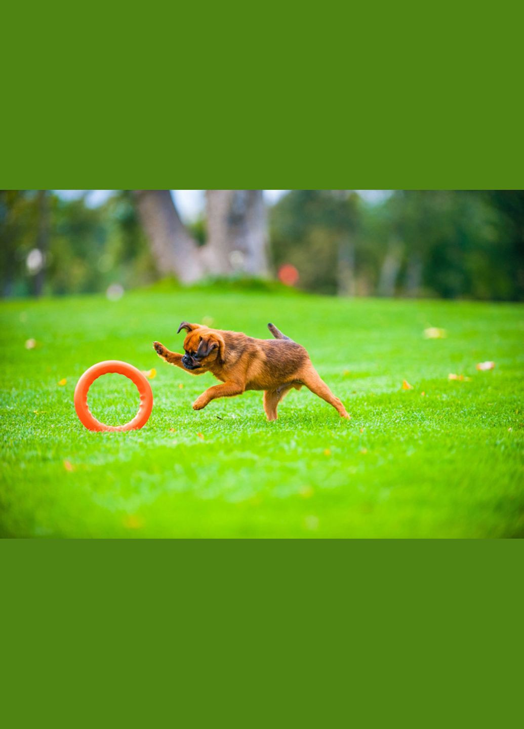 Кільце для апортування 30 д-28 см Жовтогаряче PitchDog (329994223)