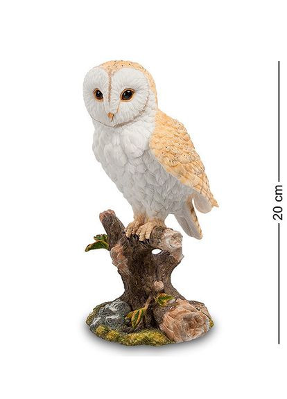 Миска Veronese (346530434)