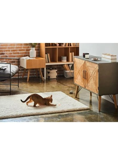 HD-камера Play 2 (PP20US) Petcube (401134179)