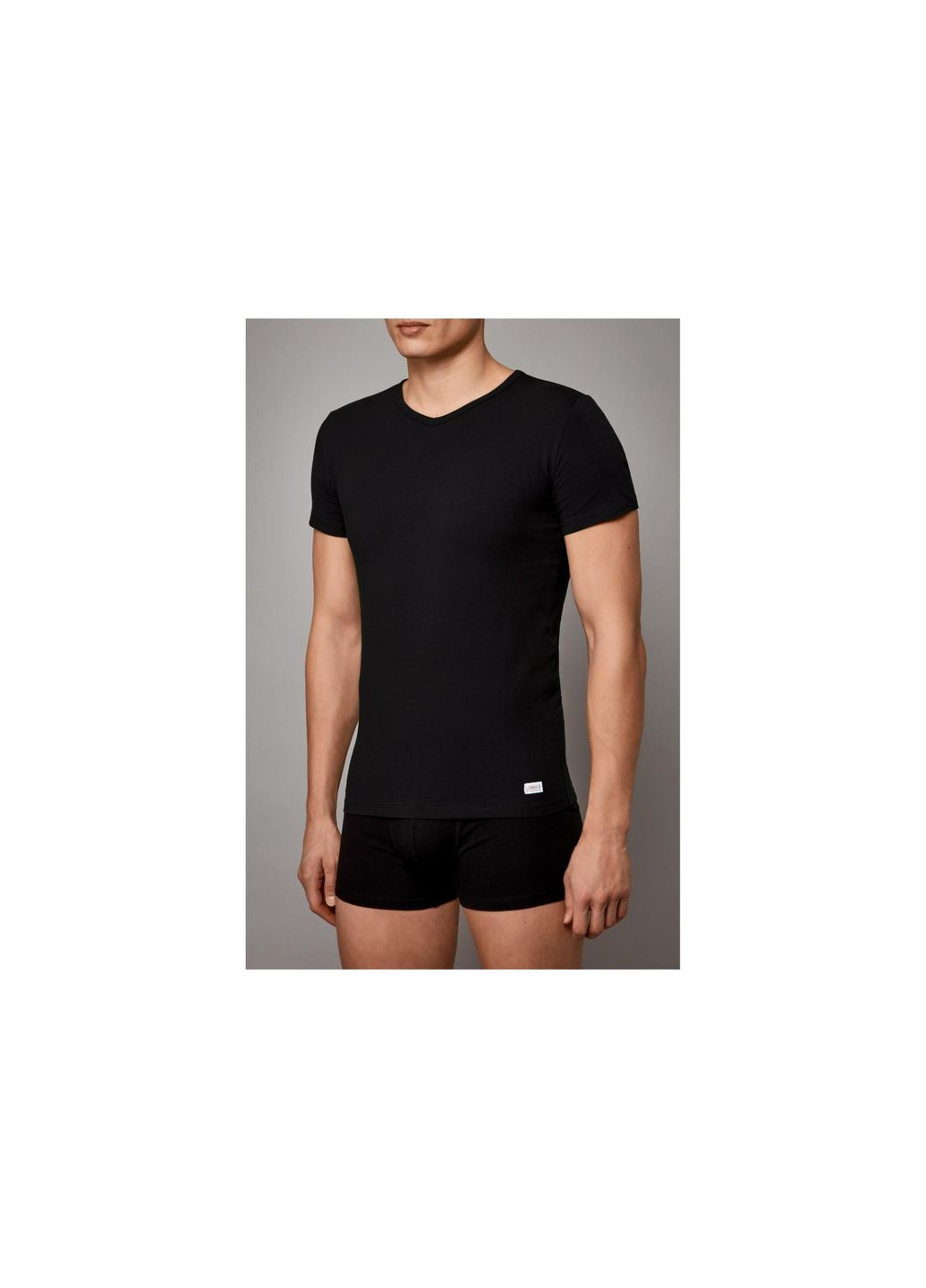 Футболка нательная хлопковая набор 2 шт. для мужчины LOOKS by Wolfgang Joop 458436 Livergy (362894869)