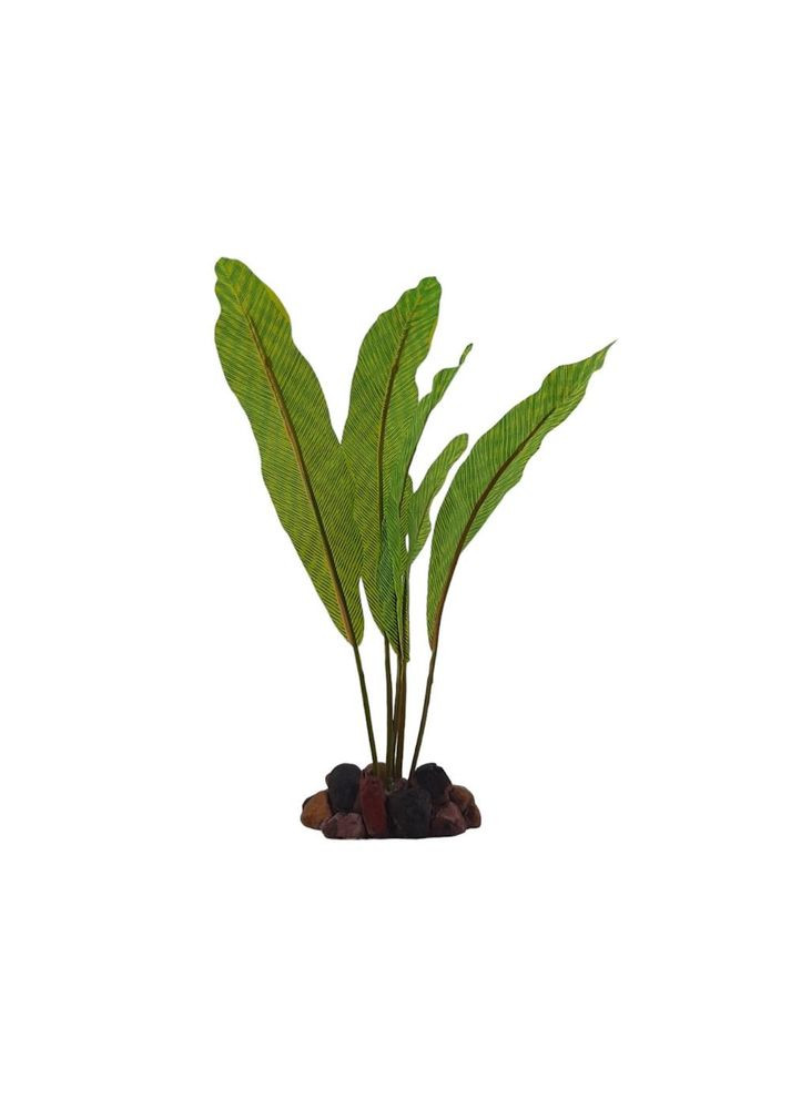 Растение на камне, 3 Zolux (368720300)