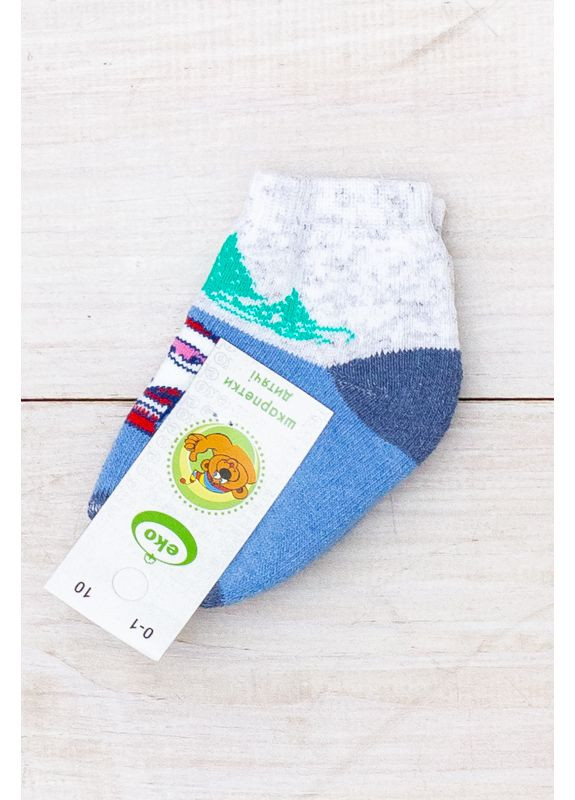 Шкарпетки дитячі (зима) (p-7622) Носи своє (370369672)