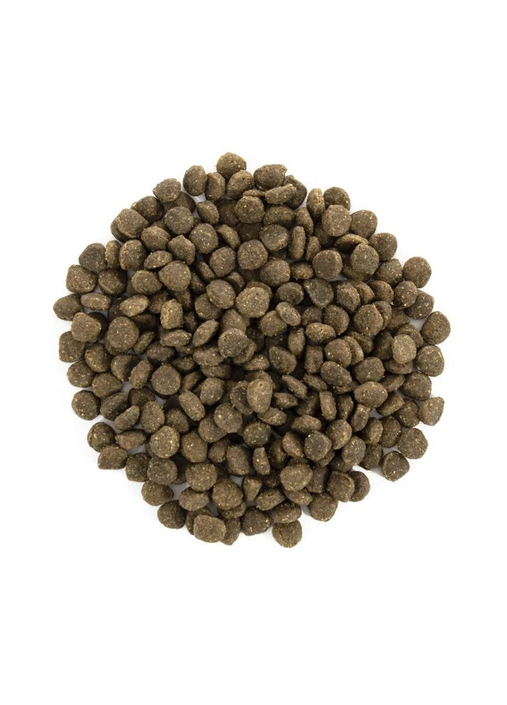 Сухой корм для взрослых собак больших пород Mini Adult Lamb сухой корм с ягненком 2 кг Brit Care (399746681)