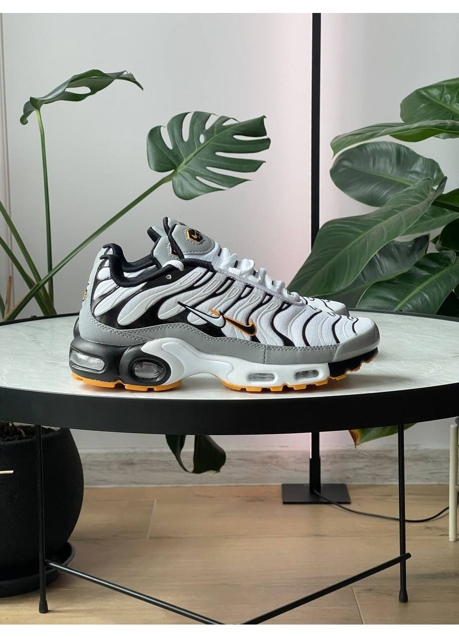 Серые демисезонные кроссовки мужские nike air max tn plus grey white black | найк аир макс тн плюс серые белые черные No Brand