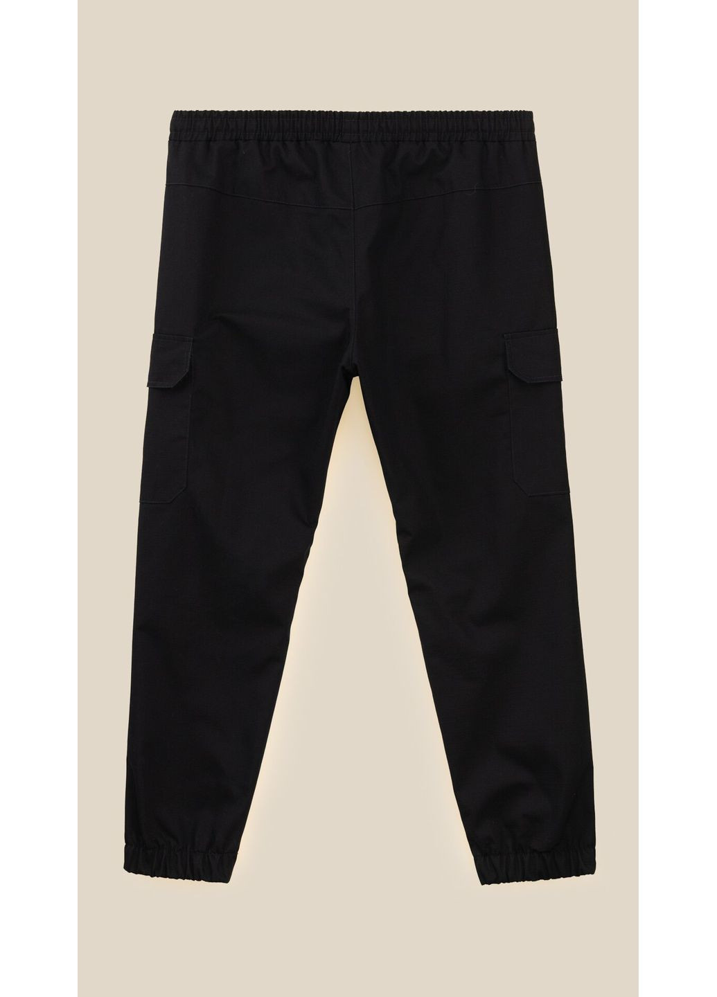 Комбинированные повседневный демисезонные брюки LAWA