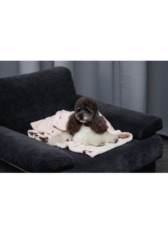 Плед Bliss 2 для собак і котів плюш пудра 68х114.6 см 4823082441358 Pet Fashion (381953549)