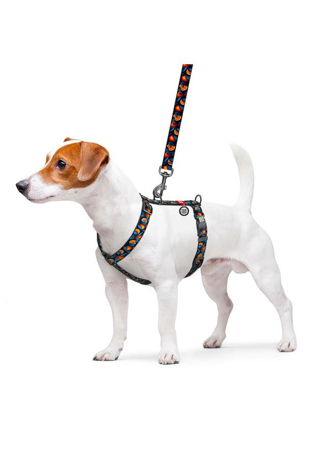 Ошейник WAUDOG (336964598)