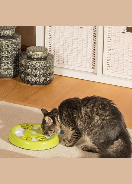 Іграшка для собак та котів Discover із схованки для ласощів Ø23x4.2 см 85088099 Ferplast (269341607)