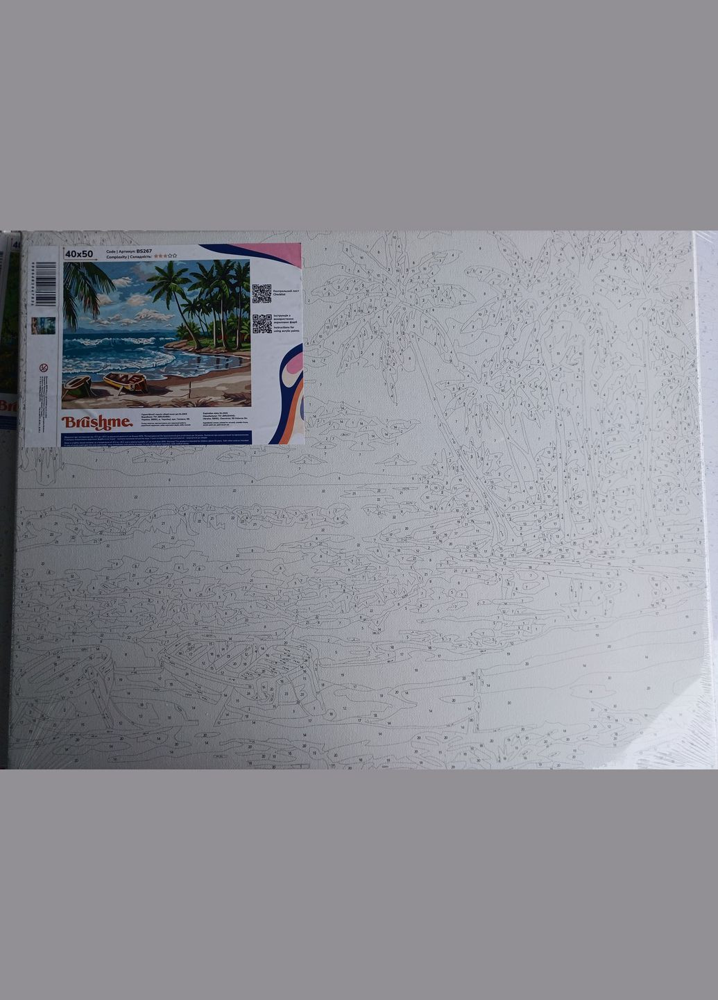 Картина за номерами Узбережжя океану Картини за номерами Пейзаж природа море Човен Розпис по полотну BS267 Brushme (322777522)