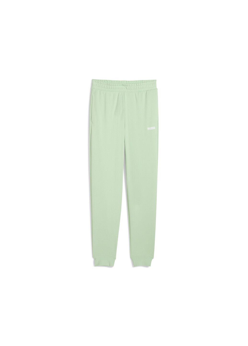 Штани Essentials Logo Sweatpants Men Puma (322845038)