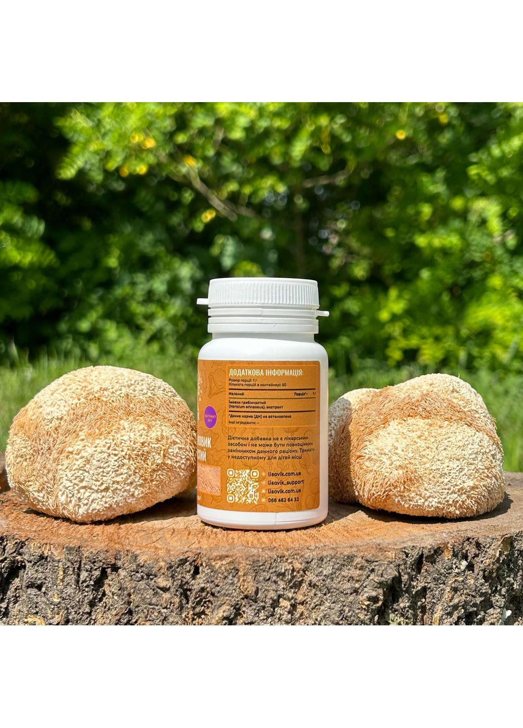 Экстракт Ежовика гребенчатого, молотый 50 г Лісовик (337336466)