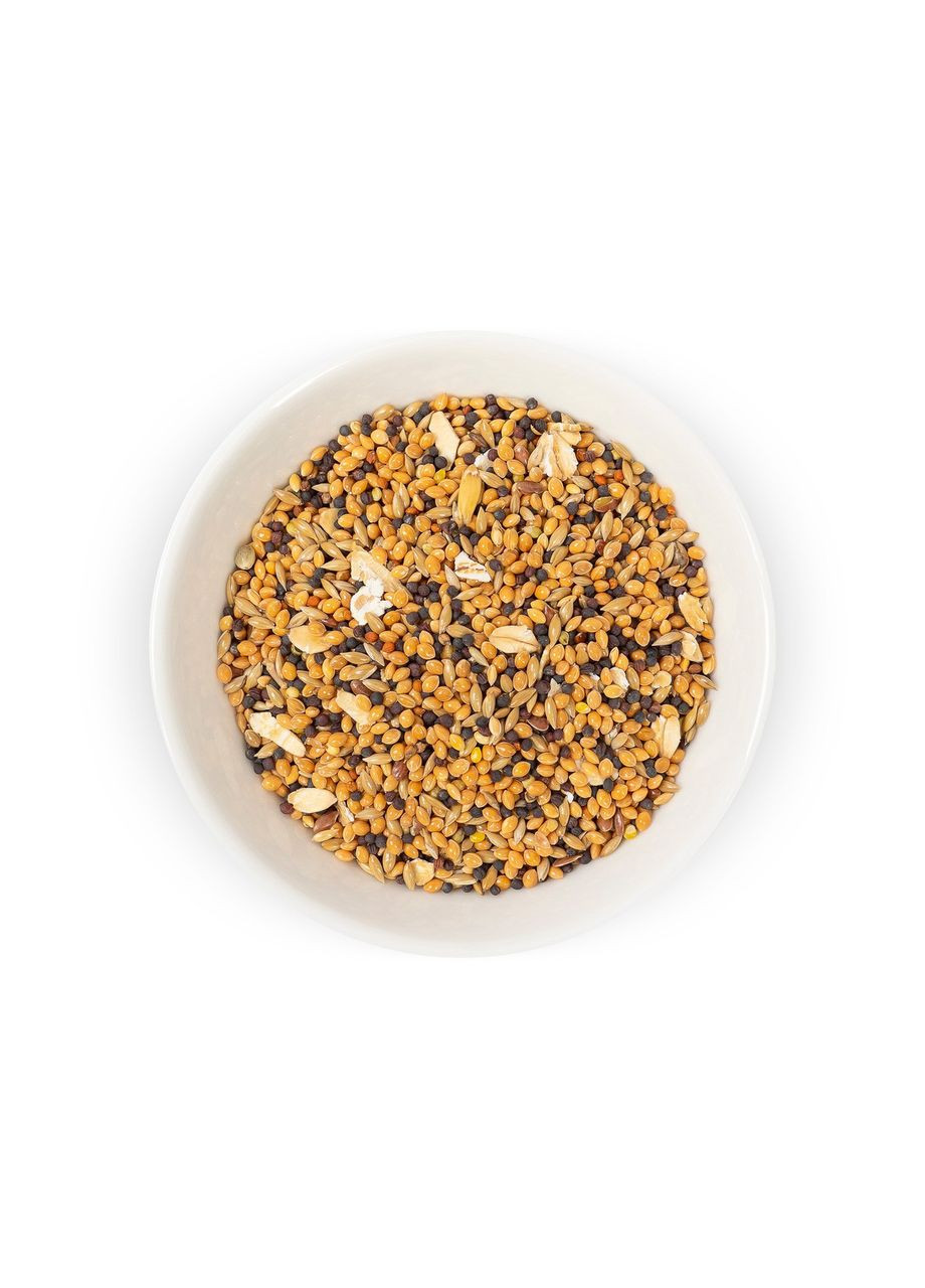 Корм «Экзотик» для экзотических птиц, 500 г Природа (365593364)