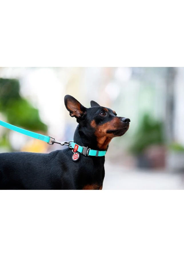 Ошейник Collar (377036591)
