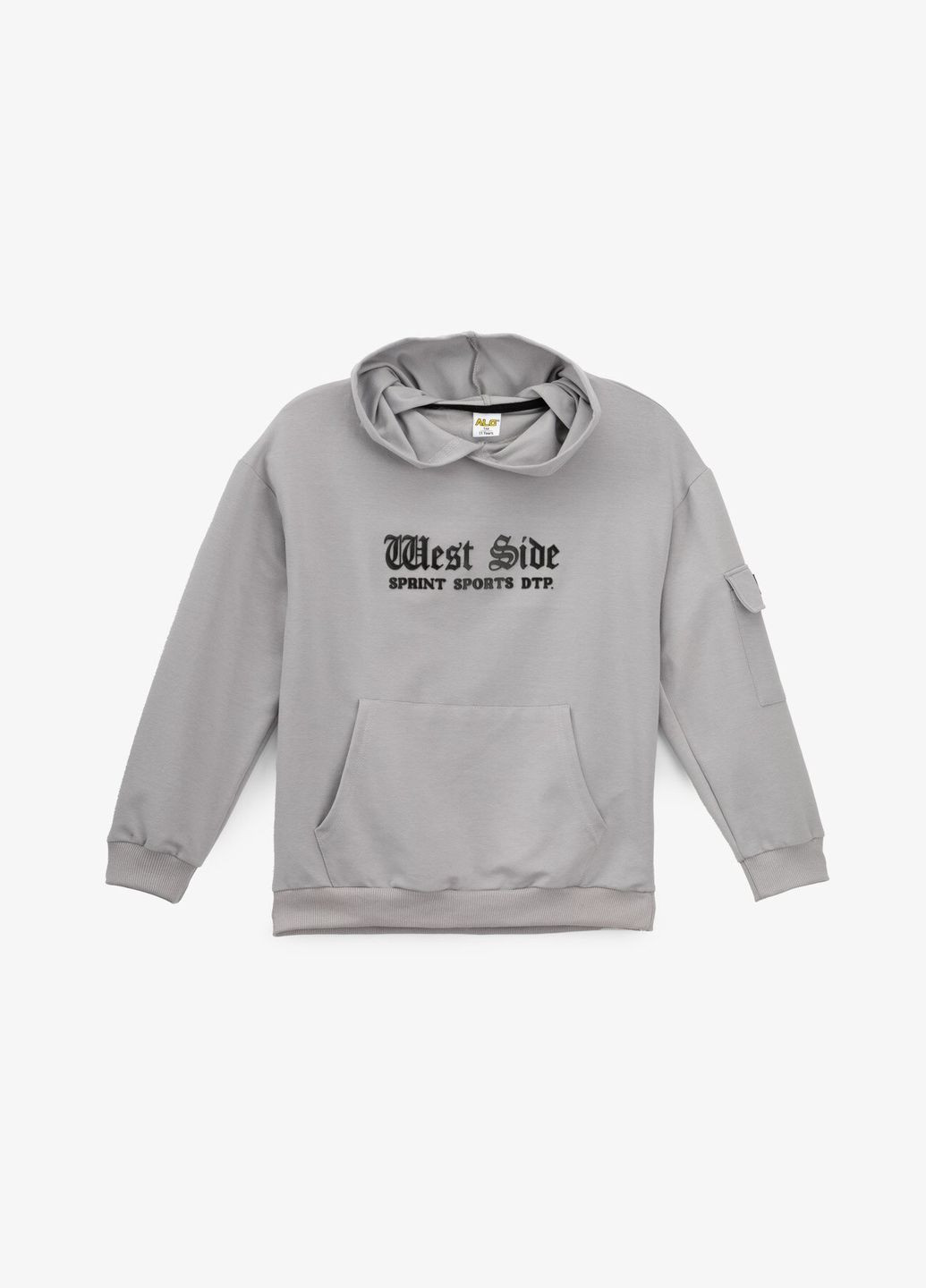 Худі з принтом для хлопчика 325447 134 см shop (2000990809520) ALG (361499470)