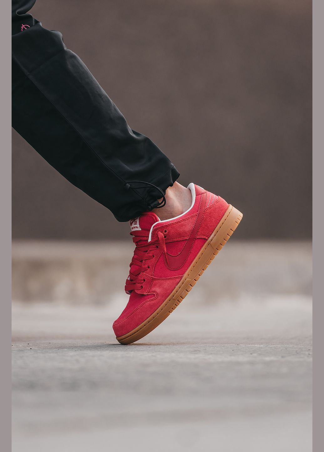 Красные демисезонные кроссовки мужские nike sb dunk low red | найк сб данк низкие красные красные No Brand