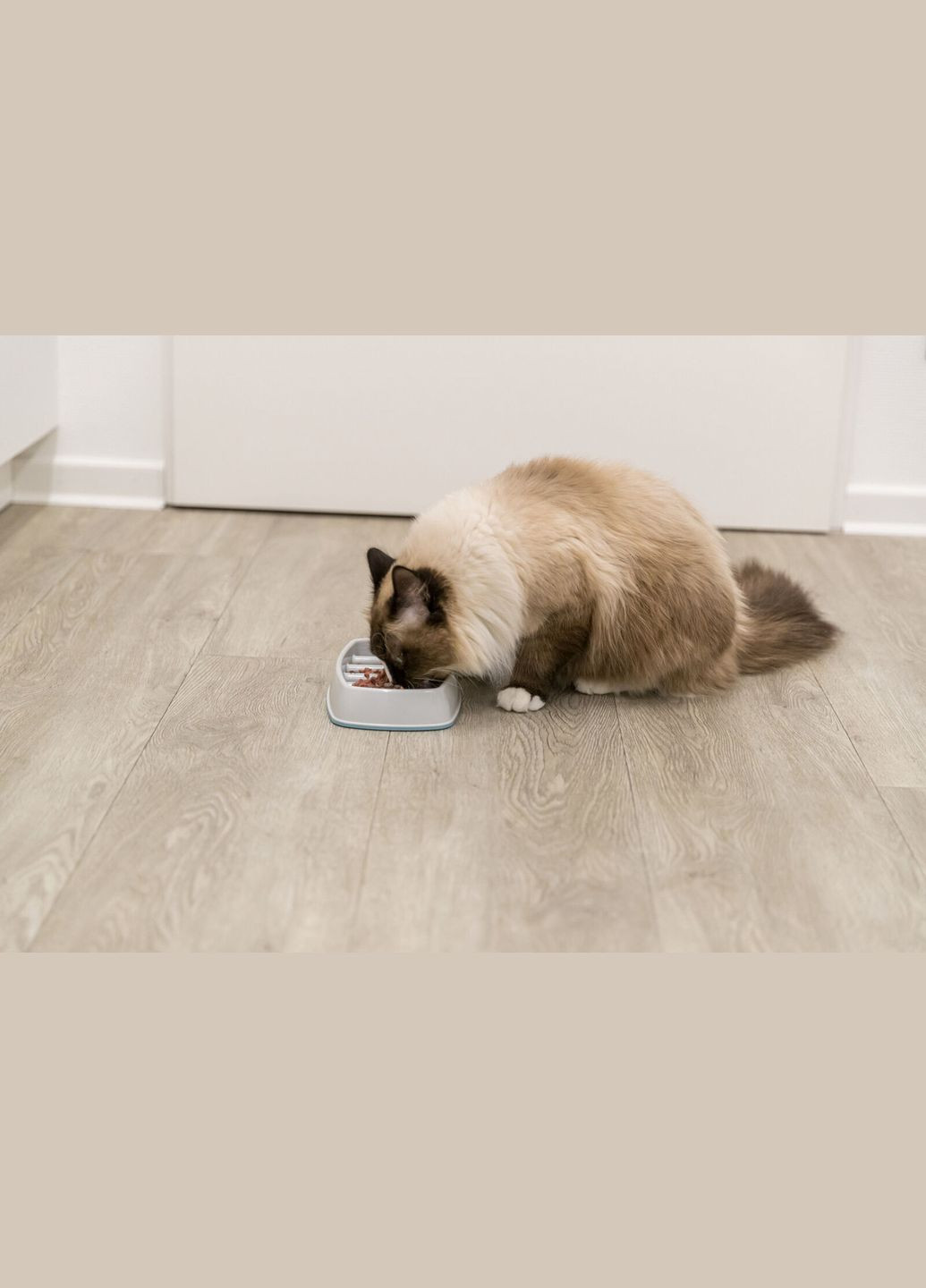 Миска для кішок Повільне годування пластик/термопластична гума 0.25 л 21х14 см Сіра (4047974251928) Trixie (311885822)