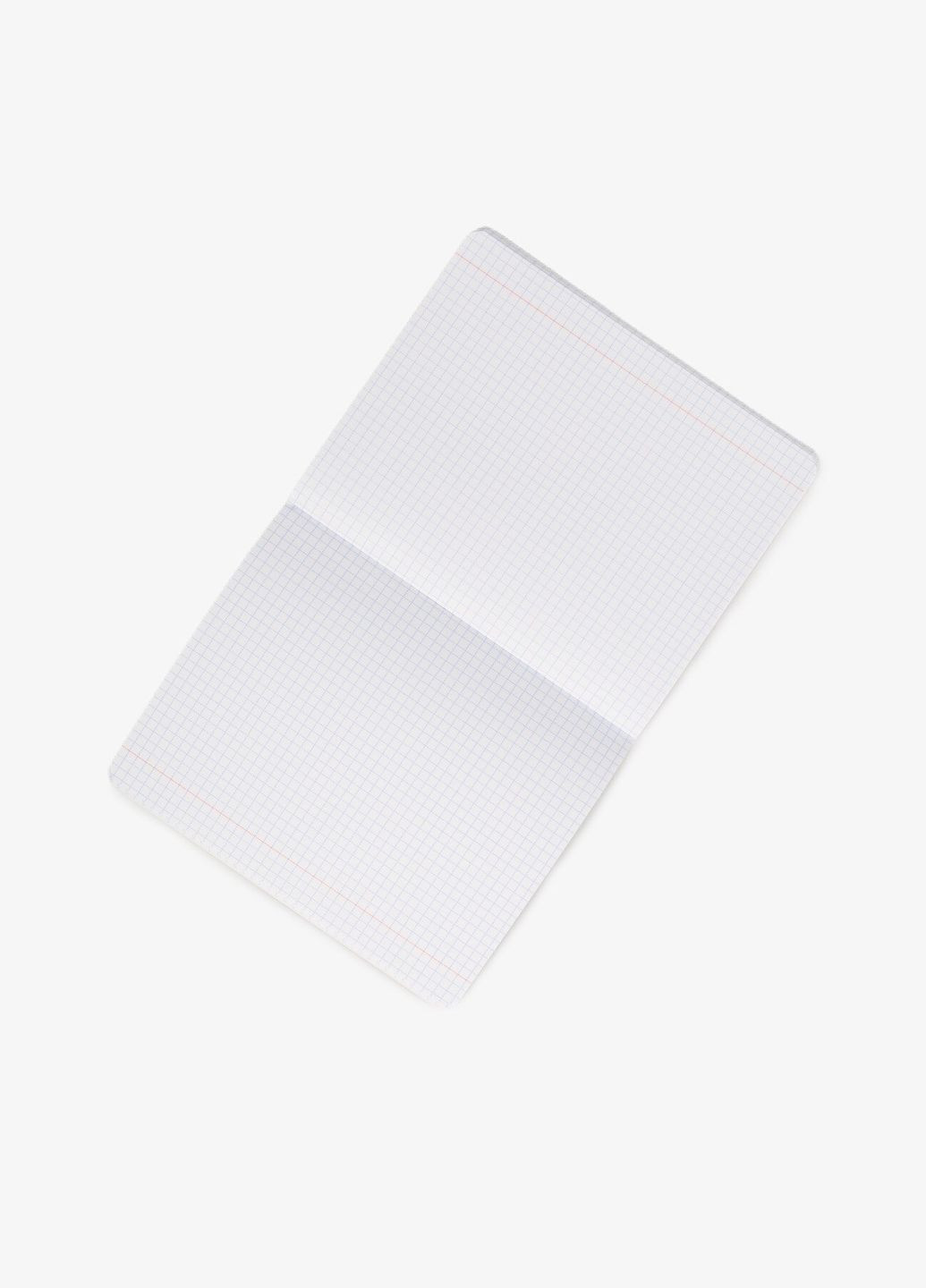 Зошит шкільний BOTANIQUE 2 Малеваро 354495 48 аркушів shop (5902277354495) Malevaro (339041968)